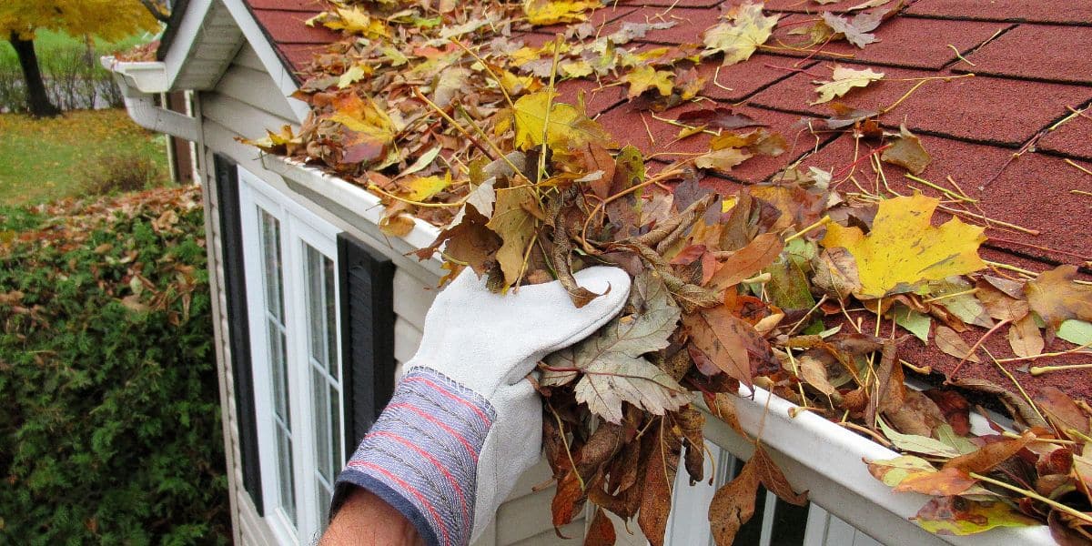 clearing leaves from the gutter