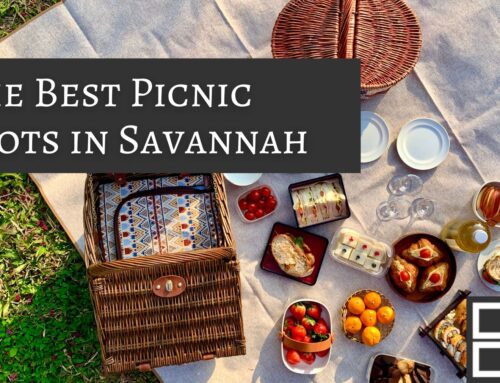 The Best Picnic Spots in Savannah