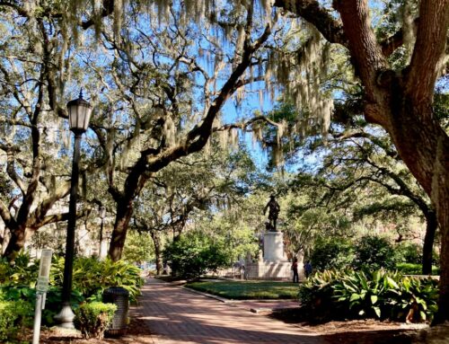 What is the nicest part of downtown Savannah?