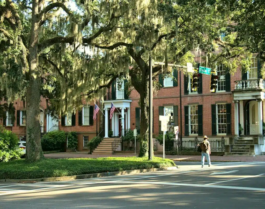 Sun-drenched street in a historic Savannah neighborhood, lined with elegant homes and oak trees with Spanish moss, represe...