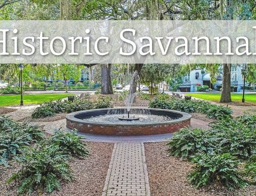 The Social Fabric: Finding Your Community in the Courtyards and Stoops of the Historic District